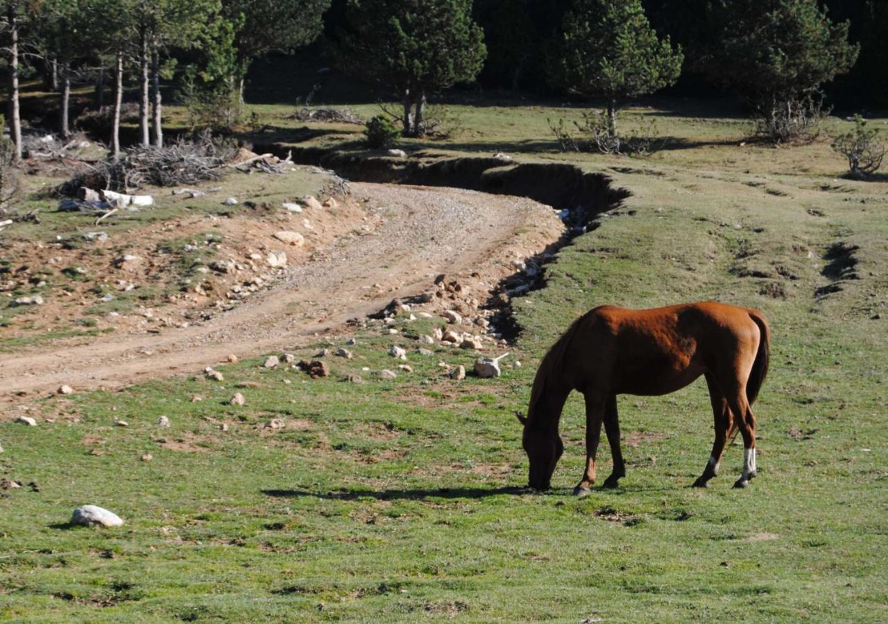 Apartamento Con Encanto En El Pirineo La Pobla de Lillet Buitenkant foto